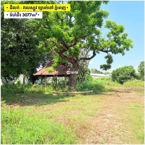ដីលក់ នៅសង្កាត់វាលស្បូវ, ខណ្ឌច្បារអំពៅ, ភ្នំពេញ | Land For Sale Veal Sbov, Chbar Ampov, PP