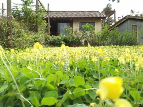House in Mondulkiri