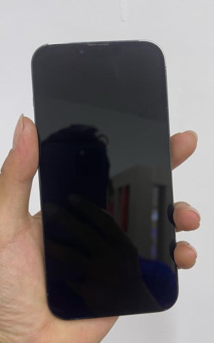 iphone 13Promax