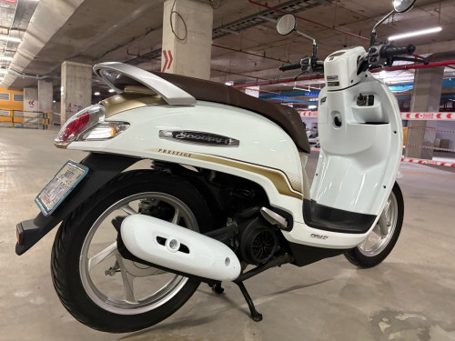 Scoopy 2020