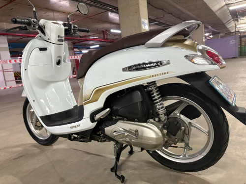 Scoopy 2020