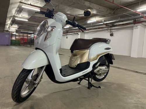 Scoopy 2020