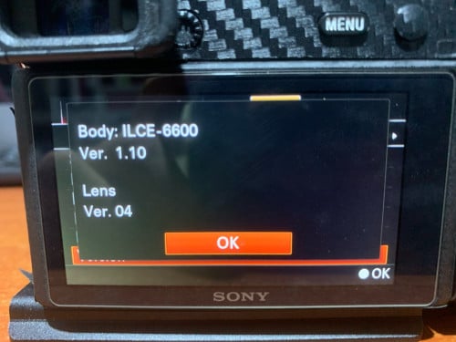 Sony A6600  + 18-105.  1$$$