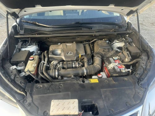 Toyota Lexus ប្រភេទ Luxury ក្នុងលឿង