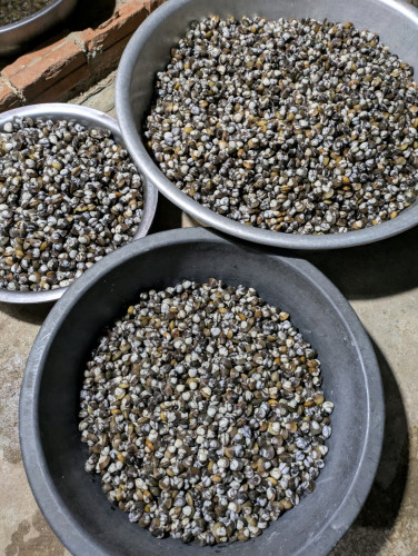 លៀសឆៅលក់បោះដុំខាងភ្នំពេញ