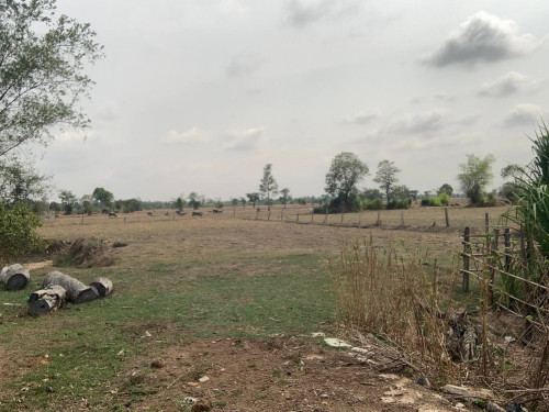 ដី និងផ្ទះលក់