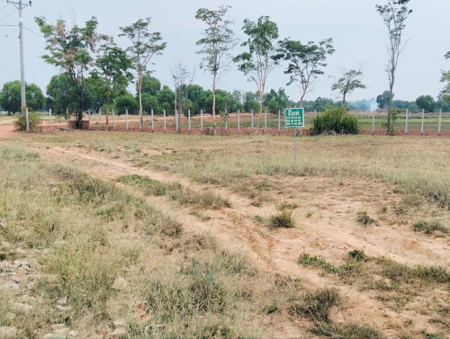 ដីលក់ 28mx13m តម្លៃលក់30000$ចចារបាន ទីតាំងភូមិគោកក្រសាំងសង្កាត់ ស្វាយដង្គំ ក្រុងសៀមរាប