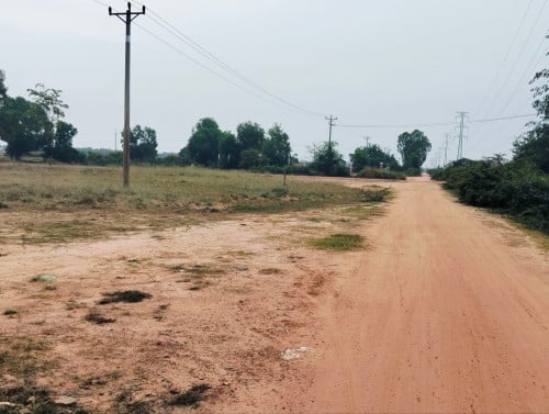 ដីលក់ 28mx13m តម្លៃលក់30000$ចចារបាន ទីតាំងភូមិគោកក្រសាំងសង្កាត់ ស្វាយដង្គំ ក្រុងសៀមរាប