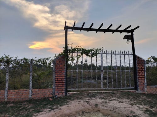 ដីលក់បងៗមានដំណាំល្មើរស្រាប់ 5kmពីក្រុងសៀមរាប ទំហ៊ុំ50m*70m 60000$ចរចារបាន