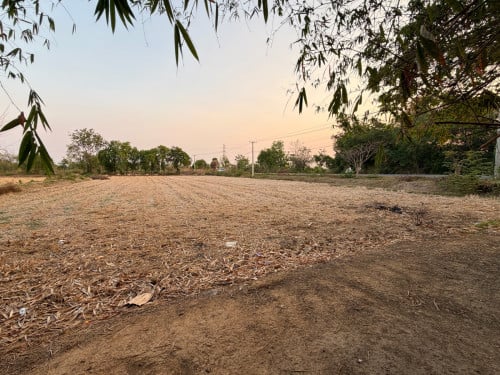 ដីក្នុងក្រុងបាត់ដំបងជាប់ផ្លូវរដ្ឋកៅស៊ូក្បាល80និងបណ្តោយ40