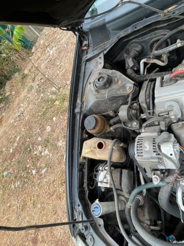ឆ្លាម98លក់