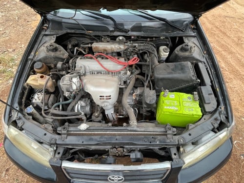 ឆ្លាម98លក់