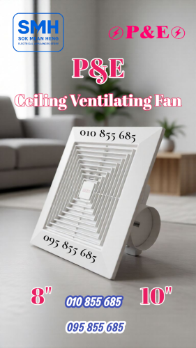 កង្ហារបឺតពិដាន P&E Ceiling Ventilating Fan _ 8" / 10"