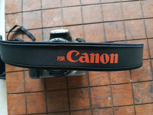 1100D (Lens 2)