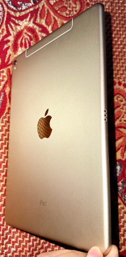 iPad Pro