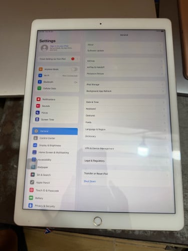 iPad Pro (128g-sim+wifi)