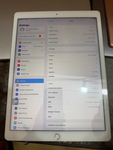 iPad Pro (128g-sim+wifi)