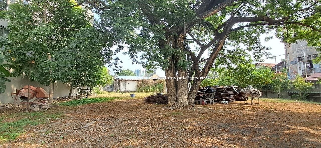 ๐ Urgent Land for Rent โ Toul Kork District (Near TK) ๐