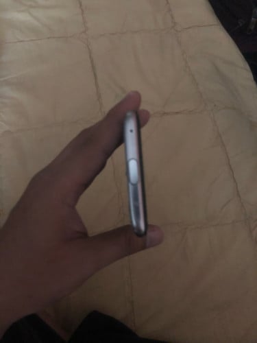 ដានតិចបងបង