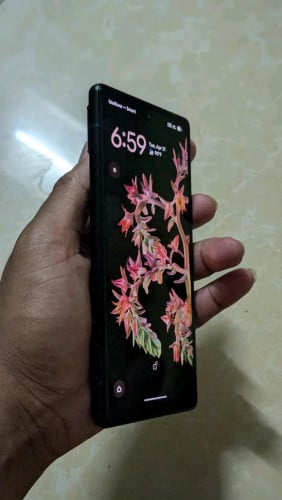 អេក្រង់អូឡែត