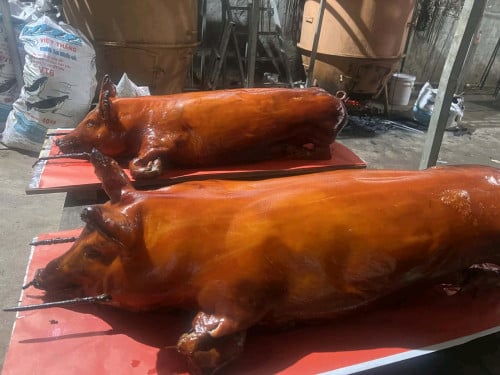 ជ្រូកខ្វៃធានាថាជ្រូកស្រែសុទ្ធធ្វេីថ្មីៗ