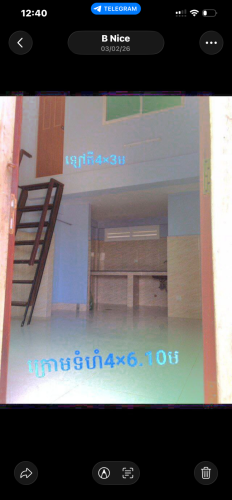 ផ្ទាល់ដី