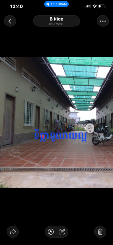 ផ្ទាល់ដី