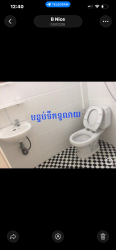 ផ្ទាល់ដី