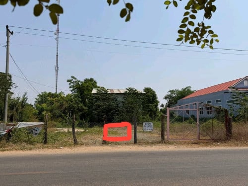 ដីជួល 30*100