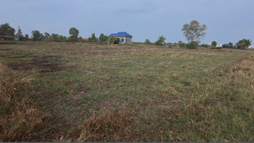 ដីសម្រាប់លក់ប្រញ៉ាប់ (43m*75m) ជិតគម្រោងសមុទ្រកោងកែង