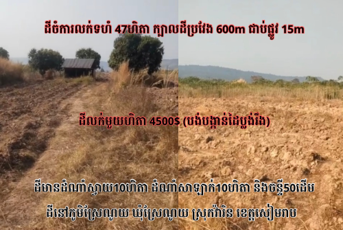 ដីចំការលក់ទំហំ47ហិតាក្នុងខេត្តសៀមរាប