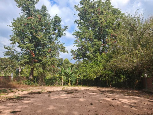 ដីលក់ក្បែររីសតវាយកូនហ្គោល Land for sell near Angkor Golf Resort (544m3): 30000$