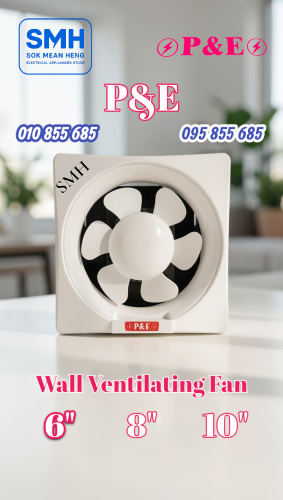 កង្ហារបឺត_ជញ្ជាំង P&E Wall Ventilating Fan _ 6" / 8" / 10"