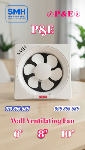 កង្ហារបឺត_ជញ្ជាំង P&E Wall Ventilating Fan _ 6" / 8" / 10"