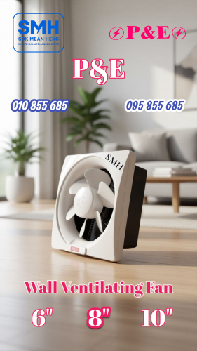 កង្ហារបឺត_ជញ្ជាំង P&E Wall Ventilating Fan _ 6" / 8" / 10"