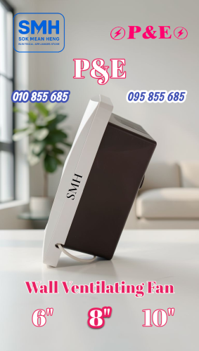 កង្ហារបឺត_ជញ្ជាំង P&E Wall Ventilating Fan _ 6" / 8" / 10"
