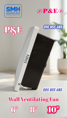 កង្ហារបឺត_ជញ្ជាំង P&E Wall Ventilating Fan _ 6" / 8" / 10"