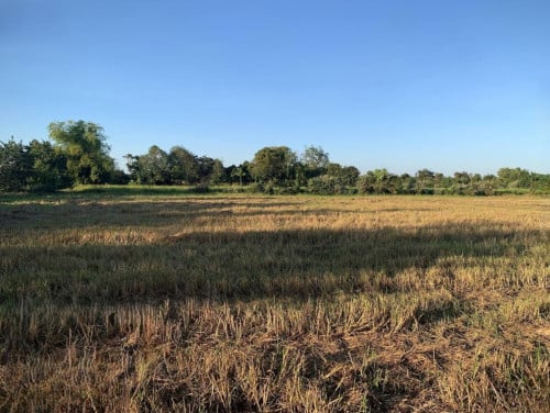🏦Land Available for Urgent Sale at a Special Price (Negotiable).
