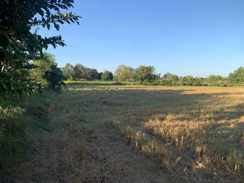 🏦Land Available for Urgent Sale at a Special Price (Negotiable).