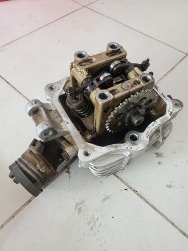 Boxer កាប់សាច់