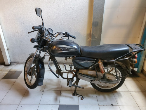 Boxer កាប់សាច់