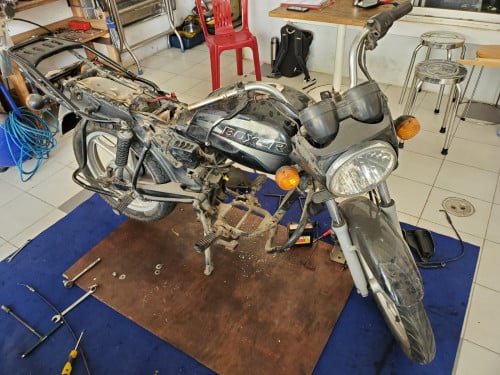 Boxer កាប់សាច់