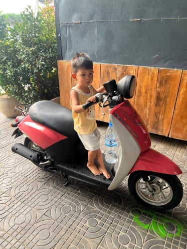 Honda today 50 cc $310 with tax