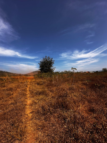 Land for sell buy now can get more profit