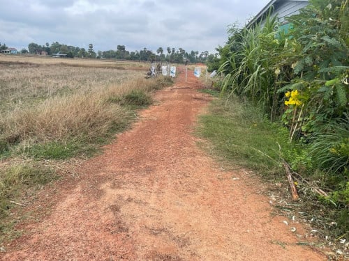 ដីលក់