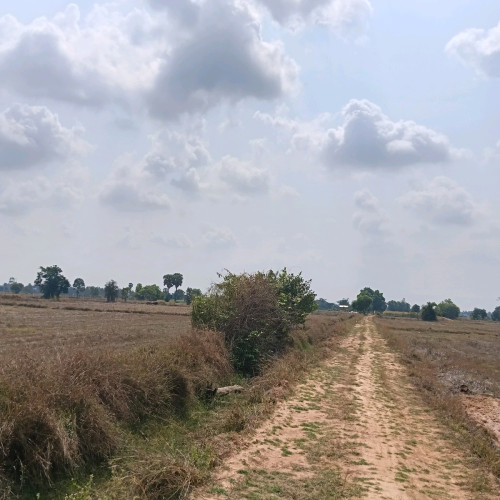 ដីលក់បន្ទាន់តម្លៃក្រោមទីផ្សារ