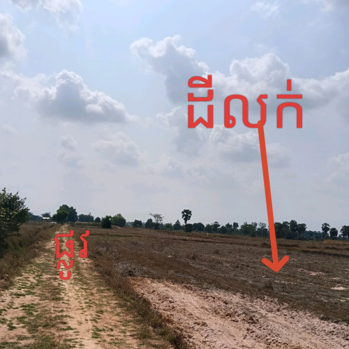 ដីលក់បន្ទាន់តម្លៃក្រោមទីផ្សារ