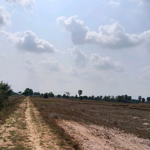 ដីលក់បន្ទាន់តម្លៃក្រោមទីផ្សារ