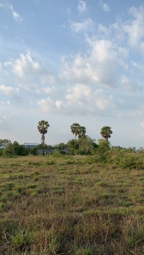 ដីលក់បន្ទាន់