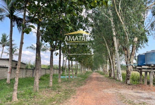 ដីកសិកម្មលក់ក្នុងតម្លៃទាបជាងទីផ្សារ